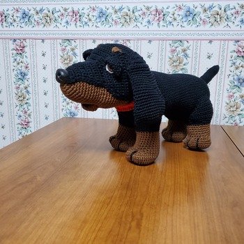 Dachshund Boni.  Worked up nice with recommended Catania yarn. Love how cute he looks! The photo looks stretched here.