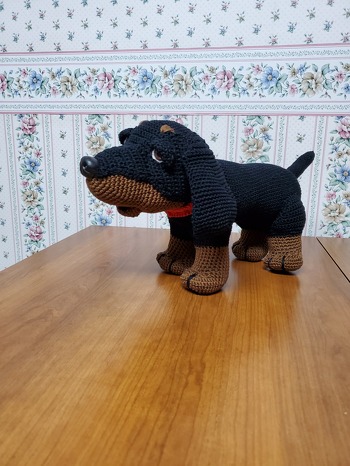 Dachshund Boni.  Worked up nice with recommended Catania yarn. Love how cute he looks! The photo looks stretched here.