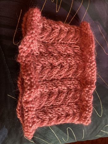 Halswärmer- für schnell mal zwischendurch-ein schönes Modell und auch als Haarband zu tragen