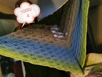 Happywave 1000/4 der Anfang war holprig aber dann lief es wie von allein