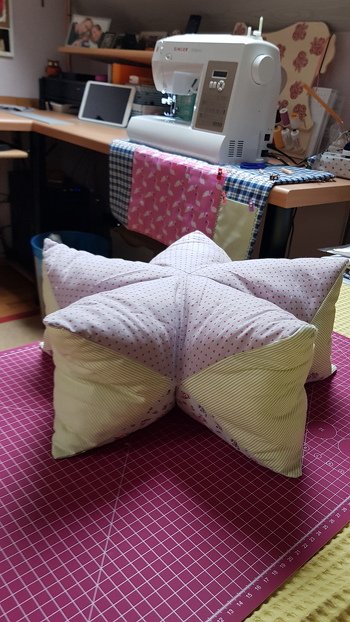 ...eine Herausforderung
...ein Sternekissen