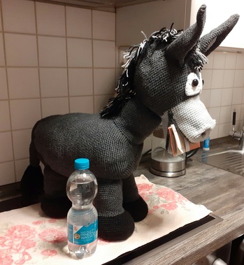 Mein Geldesel ist gerade noch rechtzeitig fertig geworden, die Enkelin an ihrem 18. Geburtstag begeistert. War auf Grund der Größe eine echte Herausforderung. Die Anleitung ist sehr gut geschrieben bis auf ein paar kleine Fehler. Eine Nachfrage wurde leider nicht beantwortet. Er ist aber so toll geworden, dass ich weinen musste bei der Übergabe.