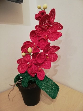 Ich finde es einfach toll, dass es soviele hervorragende und leicht verständliche Anleitung von den verschiedenen Personen hier angeboten werden. Vieles findet man in Heften nicht. Herzlichen Dank für eure Arbeit.