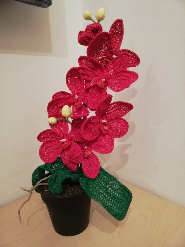 Häkelanleitung -Orchideen Topfpflanze