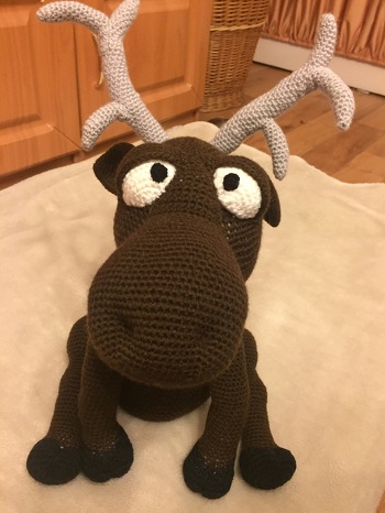 In den Anleitungesbildern war auch ein Stern zu sehen, der leider nicht enthalten ist.