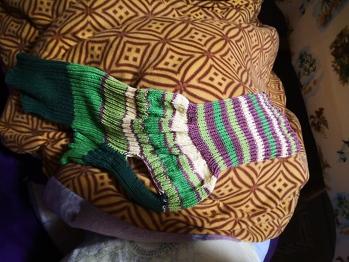 Mein erster Versuch einen hundemantel aus Baumwollreste zu stricken.