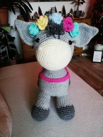 Das ist Josy, das kleine Eselmädchen