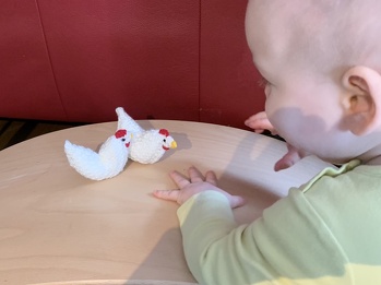 Kleine Hühnchen für kleine Händchen
