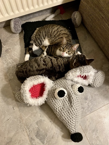 Super Anleitung, konnte einfach gehäkelt werden.