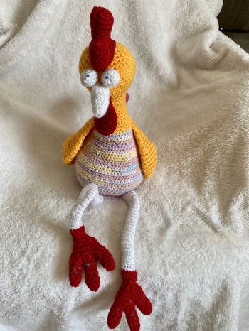 Aus der tollen Anleitung kam ein klasse Huhn raus 😂