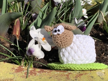 Die Anleitung ist  von Frollein-Haekelfein😊