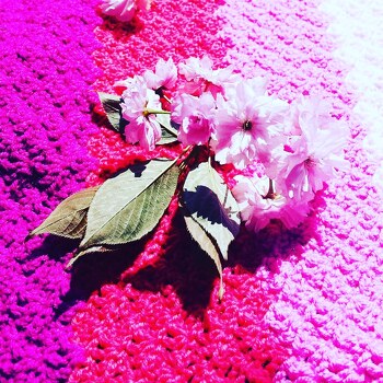 Frühling! Zeit für ein einfaches Tuch in C2.