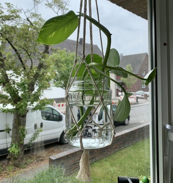 Und noch eine zweite