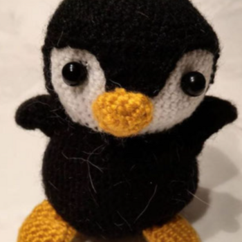 Kleiner Pinguin :) Amigurumi