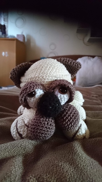 Er hat mir den letzten Nerv geraubt! 😁