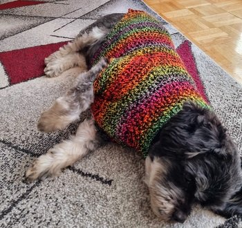 Hundepullover...tolle Anleitung