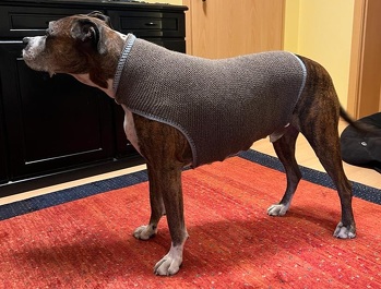 Sehr gute Anleitung,👍Hund und Frauchen haben sich gefreut😊