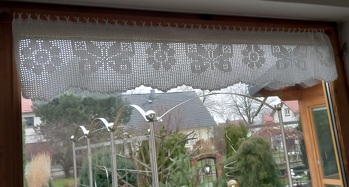 ...die ersten🦋sind da.