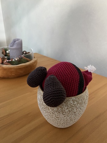 Gleiches Prinzip wie die Oster Häschen 😉. Hier nur der Weihnachtsmann - einfach mit wenig Aufwand. Immer wieder nett anzugucken 😂👍🏻