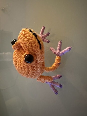 Kleiner Frosch- zweiter Versuch. Schon viel besser, aber Froschschenkel und ich werden irgendwie keine echten Freunde.