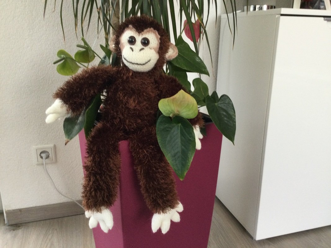 Handarbeiten Werke - Foto von mariana17