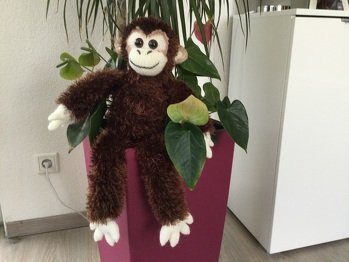 Die Affenfamilie wächst. Wieder ist einer dazugekommen. Die Anleitung ist toll. Ich habe diesmal nur die Ohren und Nase etwas abgeändert.