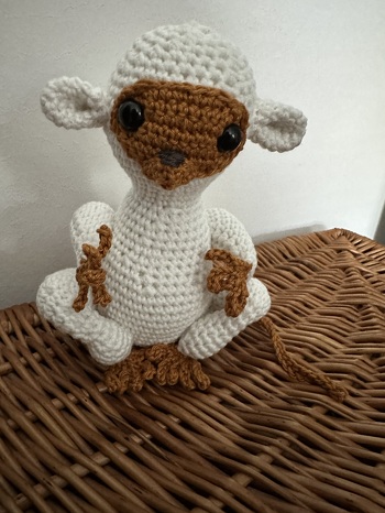 Da durfte ich wieder einmal Test-Häklerin sein, das hat Spaß gemacht, die gute und ausführliche Anleitung findet ihr bei PepisWelt