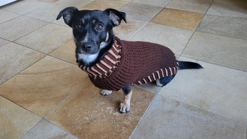 Supertoll nachzuarbeiten, vielen Dank für die schöne Beschreibung ❤️