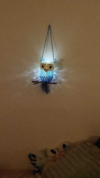 Hat super geklappt. Geschenk für meine Schwiegertochter die Eulen liebt