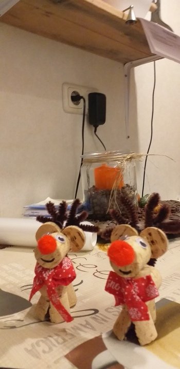 Meine selbstgebastelten Elche