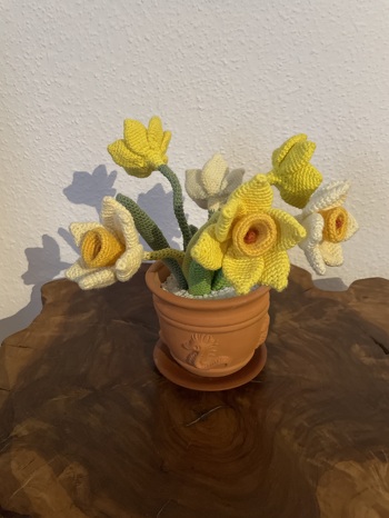 Diese Osterglocken (Narzissen) können entweder das ganze Jahr stehen, oder nur um die Osterzeit. Ich finde sie immer schön 🤩