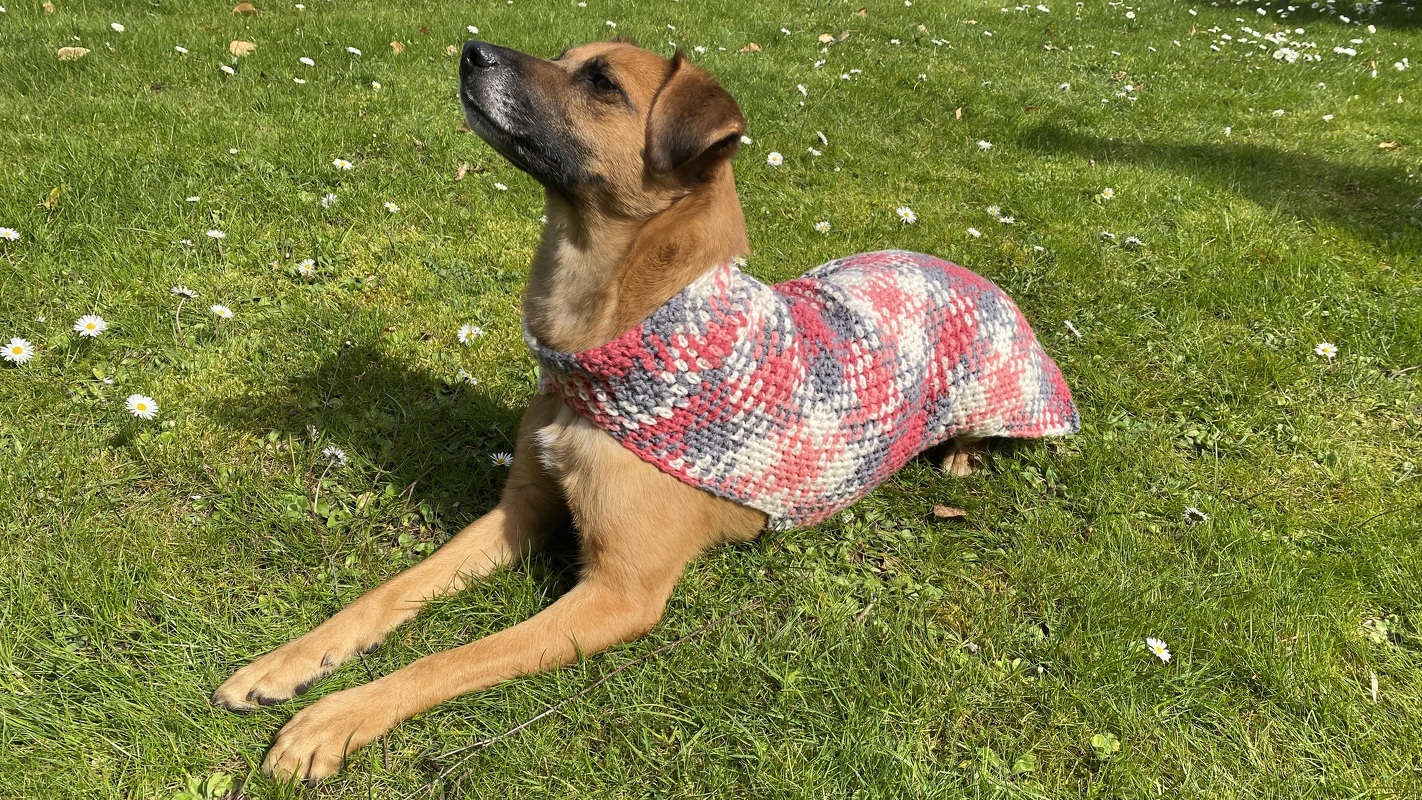 Handarbeiten Werke - Foto von sabine-mey