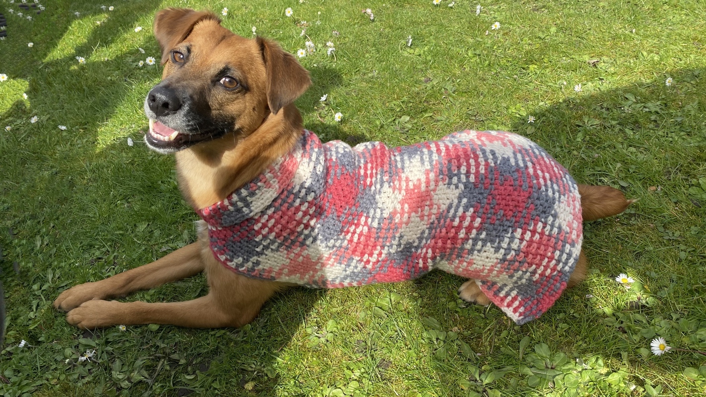 Handarbeiten Werke - Foto von sabine-mey