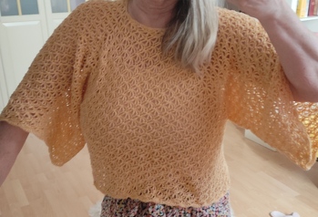 Häkelpullover von kreativ mit Tauschwerk, wie immer eine sehr gut verständliche Anleitung. Gehäkelt mit 4-fädigem Garn.