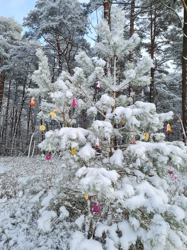 Handarbeiten Werke - Foto von kathrin-sorgatz