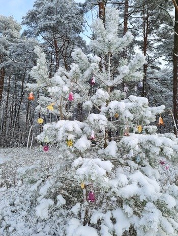 Ich hatte vor Weihnachten einen Baum mit meinen Glöckchen und Sternen im Wald geschmückt. Jeder der Freude daran hatte, konnte sich etwas abnehmen. 😉. Der Baum war nach Weihnachten leer.
