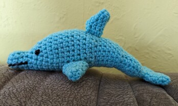 Delphin. Der ging prima.