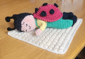 Die Anleitung war sehr verständlich und gut beschrieben . Es hat sehr viel Spaß gemacht ,den kleinen Glückskäfer nachzuarbeiten. Vielen Dank immer wieder gerne ☺️