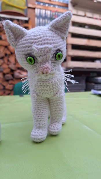 Die Anleitung war klasse und ich hoffe die neue Besitzerin freut sich