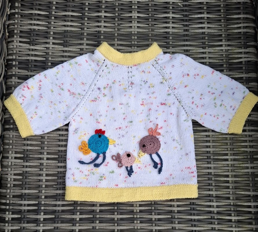 Strickanleitung Kinderpulli "Piepmatz"