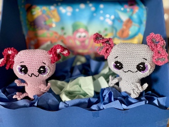 So werden sie verschenkt, die Axolotls.