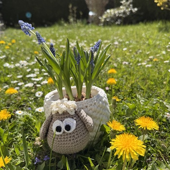 Osterschäfchen in freier Natur 😅