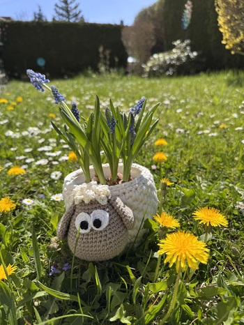 Osterschäfchen in freier Natur 😅