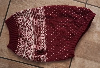 Partnerlook für Hund und Hunde-Mama