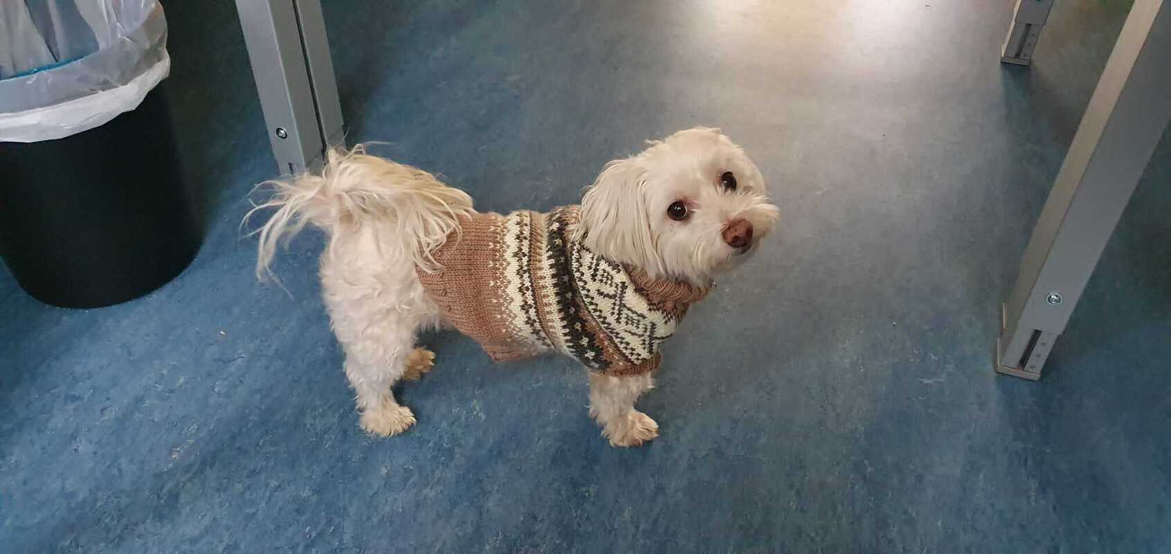 Handarbeiten Werke - Foto von andrea-fuchs-feser