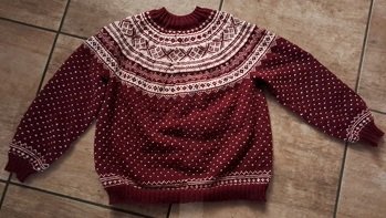 Partnerlook für Hundfreundin und ihre Hündin