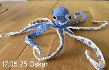 Anleitung war toll beschrieben, dankeschön.
Habe die Augen gestickt und die Pfeifenputzer zur Stabilisation der Tentakel nicht benützt. Soll als Spielzeug für Baby sein.