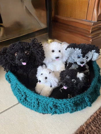 Das sind meine neuesten Tierchen