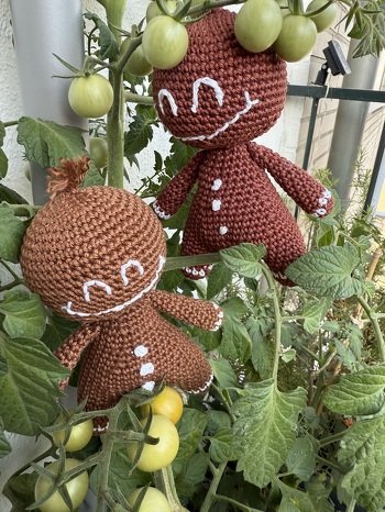 Für Weihnachtsdeko ist es nie zu früh, und bis zu den Christbaumkugeln müssen sie eben mit Tomaten auskoimmen. :-)