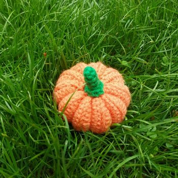 In meinem Garten gefunden. 😉
Wer hat Bedarf?